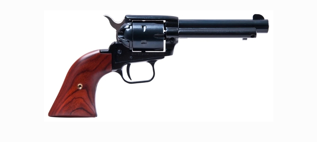 Heritage Rough Rider 22 LR