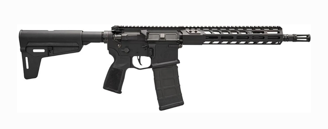 SIG SAUER M400 SDI X 5.56 NATO