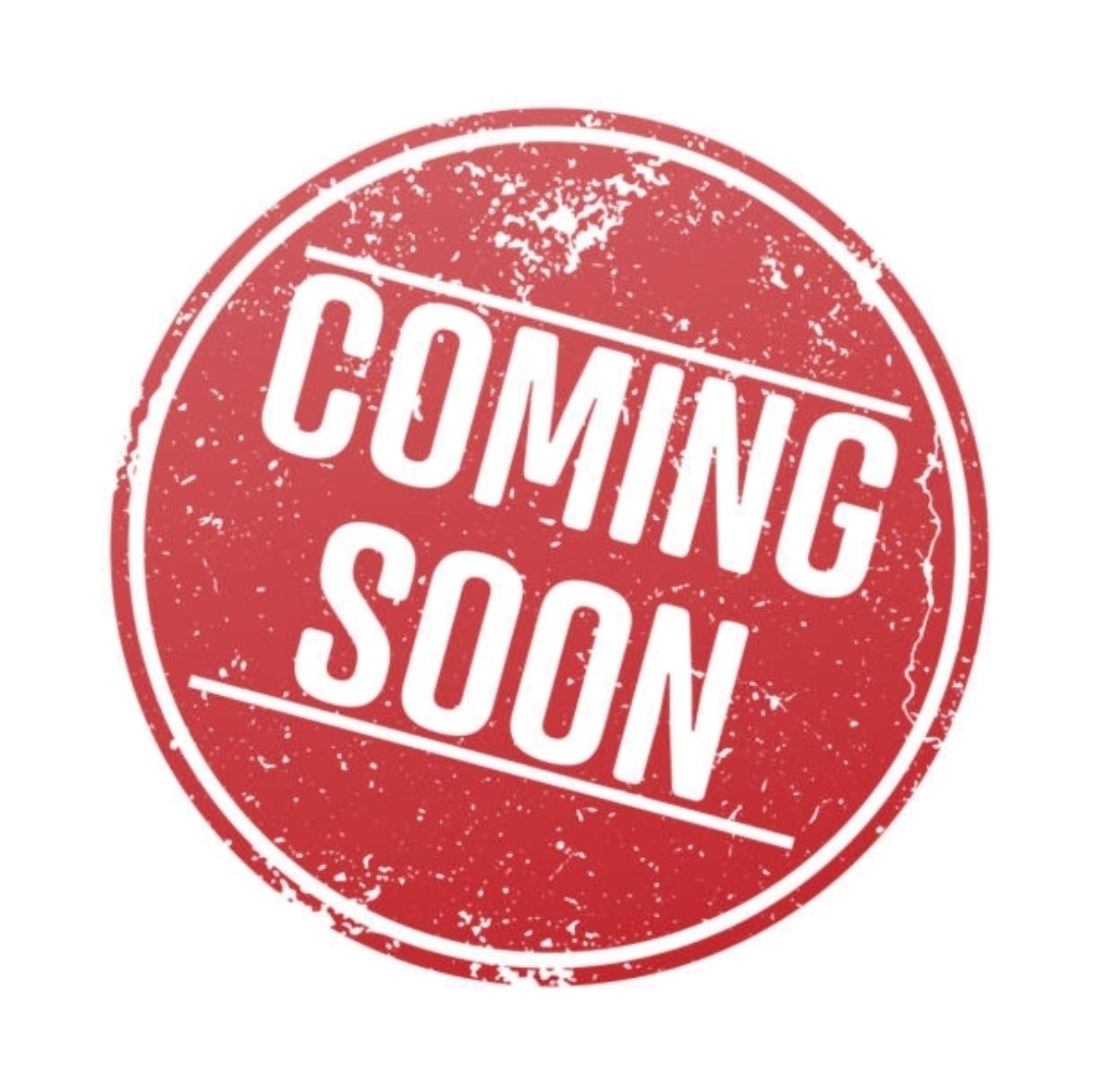 Grand Republic Armory T91